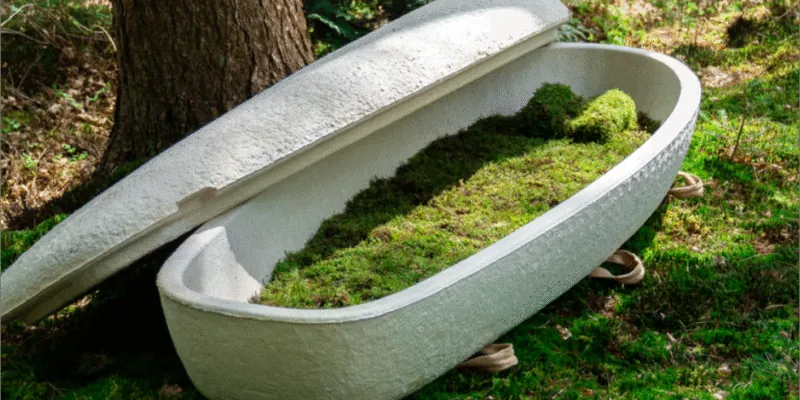 Loop Cocoon, een natuurlijke uitvaartkist met mos op de bosgrond